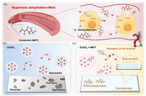 Graphical abstract: A medicine-inspired hydroxyl-rich equimolar ZnSO4/d-mannitol electrolyte enables horizontally stacked Zn deposition for long-cycling aqueous batteries