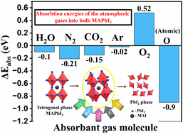 Graphical abstract: Unravelling the environmental degradation mechanism of perovskite thin films
