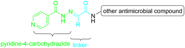 Graphical abstract: Enhancing the antimycobacterial efficacy of pyridine-4-carbohydrazide: linkage to additional antimicrobial agents via oxocarboxylic acids