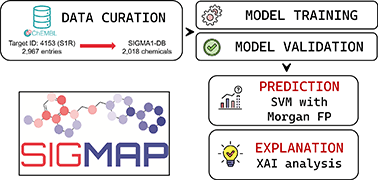 Graphical abstract: SIGMAP: an explainable artificial intelligence tool for SIGMA-1 receptor affinity prediction