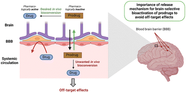 Graphical abstract: Prodrugs and their activation mechanisms for brain drug delivery