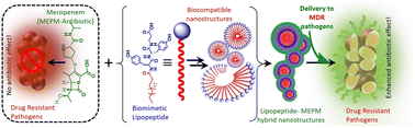 Graphical abstract: Self-responsive biomimetic short lipopeptide-based delivery systems for enhanced antibiotic efficacy against drug-resistant infections
