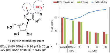 Graphical abstract: Pyrazolo[3,4-d]pyrimidine-based neplanocin analogues identified as potential de novo pharmacophores for dual-target HBV inhibition