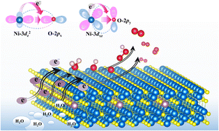 Graphical abstract: TM-doping modulated p–d orbital coupling to enhance the oxygen evolution performance of Ni3S2