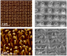 Graphical abstract: Toward nanofabrication of SERS substrates with two-photon polymerization