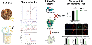 Graphical abstract: A biocompatible β-cyclodextrin inclusion complex containing natural extracts: a promising antibiofilm agent