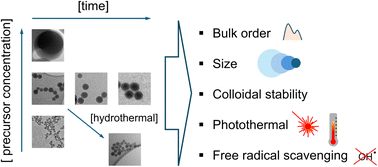 Graphical abstract: Hydrothermal carbonization synthesis of amorphous carbon nanoparticles (15–150 nm) with fine-tuning of the size, bulk order, and the consequent impact on antioxidant and photothermal properties