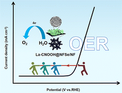 Graphical abstract: Regular pentagonal folded La doped CoNiOOH@FeSe@NiSe/NF nanosheet array for high efficiency alkaline electrocatalytic oxygen evolution reaction