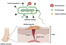 Graphical abstract: Carbon nanospheres: an antimicrobial approach for methicillin-resistant Staphylococcus aureus (MRSA) infection in diabetic foot ulcer