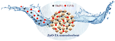 Graphical abstract: Remobilization of ZnO–TA nanoadsorbent for U(vi) and Th(iv) extraction: adsorption optimization through the Box–Behnken design model