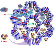 Graphical abstract: Microporous covalent organic frameworks via flexible units and rich heteroatoms for gas uptake and radioactive iodine uptake