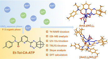 Graphical abstract: Selective separation and complexation of trivalent actinides and lanthanides using an unsymmetric pyridine-derived triazinyl and amide extractant