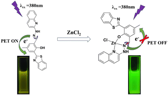 Graphical abstract: A benzothiazole-modified quinoline Schiff base fluorescent probe for selective detection of Zn2+ ions, DFT studies and its application in live cell imaging