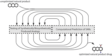 Graphical abstract: Advances, opportunities, and challenges in methods for interrogating the structure activity relationships of natural products
