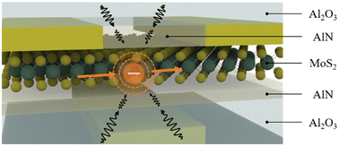 Graphical abstract: Suppression of surface optical phonon scattering by AlN interfacial layers for mobility enhancement in MoS2 FETs