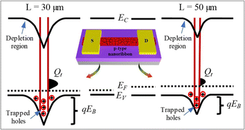 Graphical abstract: On the grain boundary charge transport in p-type polycrystalline nanoribbon transistors