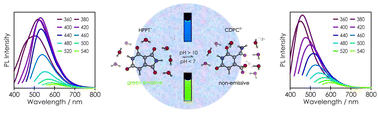 Graphical abstract: A switchable green emitting dye and its phenomenal properties: implications for the photoluminescence features of carbon dots
