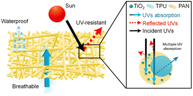 Graphical abstract: Effects of an electrospun Janus structure on enhanced UV resistance performance
