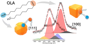Graphical abstract: Versatile role of oleylamine in the controlled synthesis of copper nanoparticles with diverse morphologies