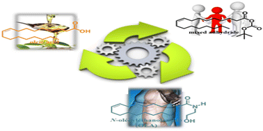 Graphical abstract: Condensation of carboxylic acids with amines using the Boc2O/DMAP system under solvent-free conditions