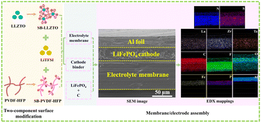 Graphical abstract: Building continuous Li-ion transport channels from cathode to anode in solid-state lithium-metal batteries