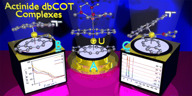 Graphical abstract: Introducing dibenzocyclooctatetraene into actinide chemistry: isolation of rare trivalent uranium sandwich complexes