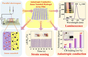 Graphical abstract: Design and electrospinning synthesis of red luminescent-highly anisotropic conductive Janus nanobelt hydrogel array films