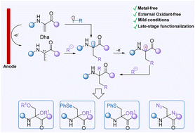Graphical abstract: Electrochemical oxidative heterodifunctionalization of dehydroalanine: access to unnatural α,α-disubstituted amino esters