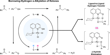 Graphical abstract: Mechanistic insight into the borrowing hydrogen reaction catalysed by a Pd MLC catalyst: unveiling the ligand-to-ligand hydrogen transfer pathway