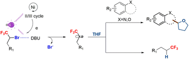 Graphical abstract: Catalytic reduction of trifluoromethylated alkyl bromides and synthesis of alkylated heterocycles under visible light irradiation: synergetic action of a halogen bond and Ni catalysis
