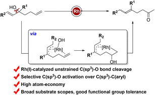 Graphical abstract: Rhodium-catalyzed 1,4-hydroxyl migration of alkenyl alcohols
