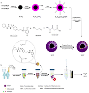 Graphical abstract: Dispersive micro solid phase extraction of glibenclamide from plasma, urine, and wastewater using a magnetic molecularly imprinted polymer followed by its determination by a high-performance liquid chromatography-photodiode array detector