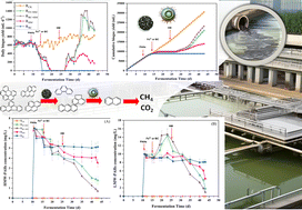 Graphical abstract: A novel strategy combining hydrogenotrophic methanogens' bioaugmentation and biochar biostimulation for simultaneous polycyclic aromatic hydrocarbon biodegradation and bioenergy recovery