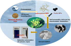 Graphical abstract: Magnetically nanorized seaweed residue for the adsorption of methylene blue in aqueous solutions