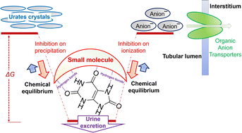Graphical abstract: Binding uric acid: a pure chemical solution for the treatment of hyperuricemia
