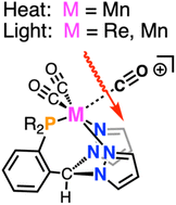 Graphical abstract: Group 7 carbonyl complexes of a PNN-heteroscorpionate ligand