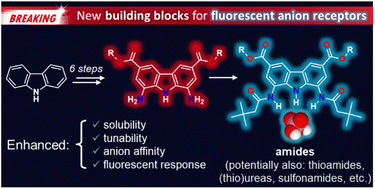 Graphical abstract: A new generation of 1,8-diaminocarbazole building blocks for the construction of fluorescent anion receptors