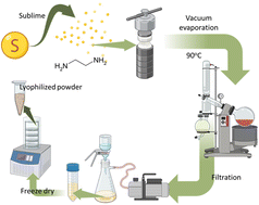 Graphical abstract: N, S-codoped carbon dots for antioxidants and their nanovehicle potential as molecular cargoes