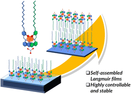 Graphical abstract: Synthesis, mixed-spin-state structure and Langmuir–Blodgett deposition of amphiphilic Fe(iii) quinolylsalicylaldiminate complexes