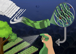 Graphical abstract: Chemical induces microstructural transformation of pulp fibre to colloidal cellulose for sustainable plant protection