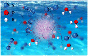 Graphical abstract: Competition between ammonia and nitrogen oxides during nitrogen fixation using N2 and H2O plasma without catalysis