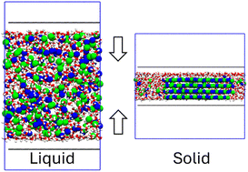 Graphical abstract: Atomic scale insights into NaCl nucleation in nanoconfined environments