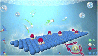 Graphical abstract: Oxygen-bridged W-Pd atomic pairs enable H2O2 activation for sensitive immunoassays