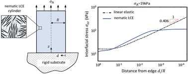 Graphical abstract: Adhesion of a nematic elastomer cylinder