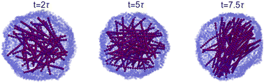 Graphical abstract: Generating forces in confinement via polymerization
