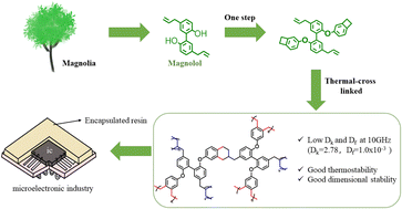 Graphical abstract: One step conversion of bio-based magnolol into low k materials at high frequency