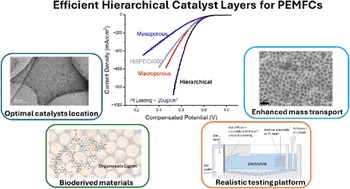 Graphical abstract: Enhanced ORR performance with biomass-derived freestanding catalyst layers: advancing mass transport in gas diffusion electrodes