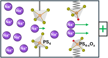 Graphical abstract: Flexible doorway controlled Na+ ion diffusion in NaPSO glassy electrolytes from machine-learning force field simulations