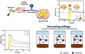 Graphical abstract: SiN-based optoelectronic synaptic devices: enhancing future cognitive computing systems