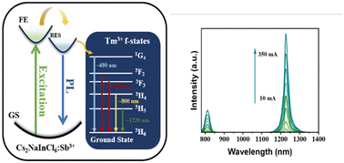 Graphical abstract: Investigating energy transfer in lanthanide-doped double perovskites exhibiting visible and near-infrared emission